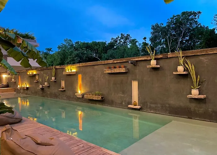 Apartment La Veleta, Pet Friendly Studio,laundry ,wifi 250mb,alberca Tulum