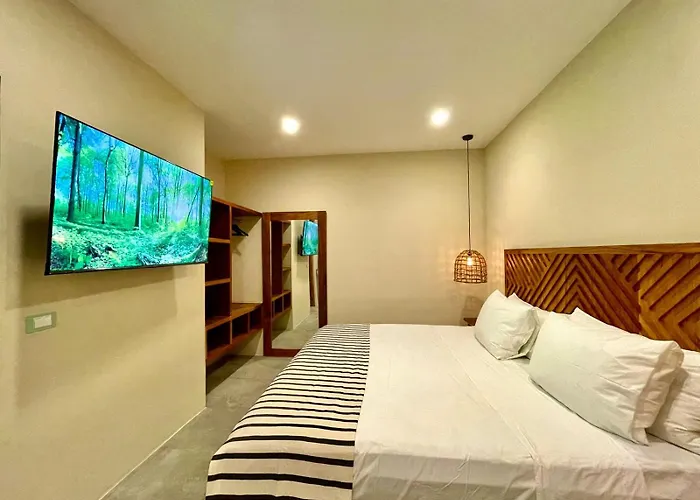 La Veleta, Pet Friendly Studio,laundry ,wifi 250mb,alberca Apartment Tulum