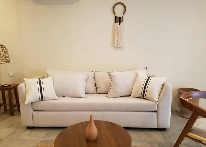 Apartment La Veleta, Pet Friendly Studio,laundry ,wifi 250mb,alberca Tulum