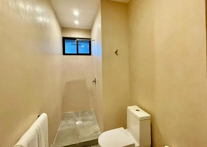 Apartment La Veleta, Pet Friendly Studio,laundry ,wifi 250mb,alberca *